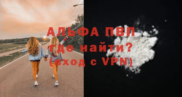 стаф Алексин