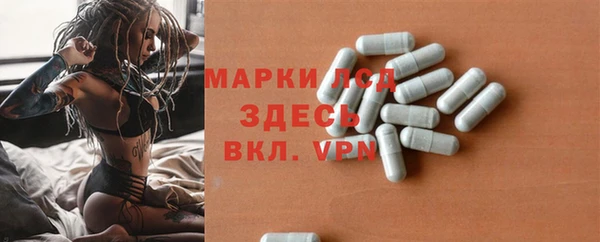 стаф Алексин