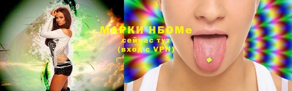 стаф Алексин