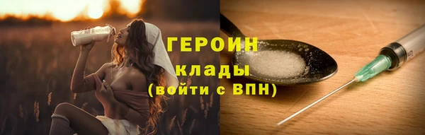 PSILOCYBIN Галич