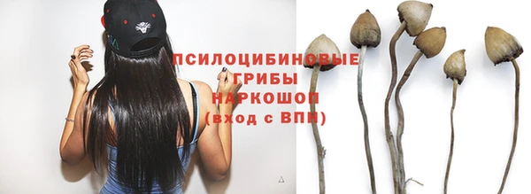 спиды Алексеевка