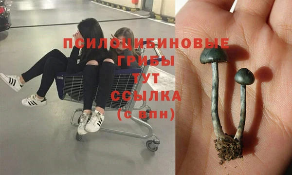 гидра Алзамай