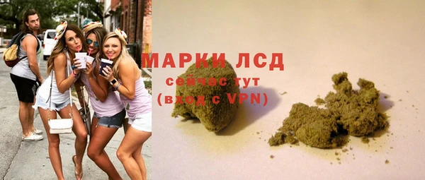 хмурый Гатчина