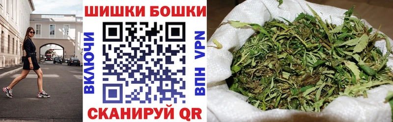 Конопля сатива  Буй 